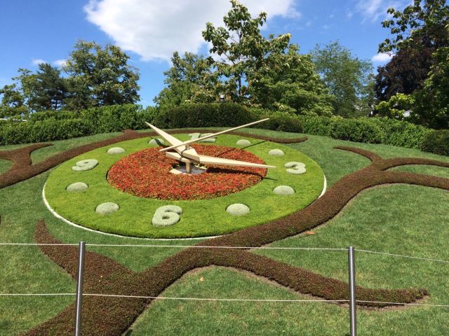 English Garden