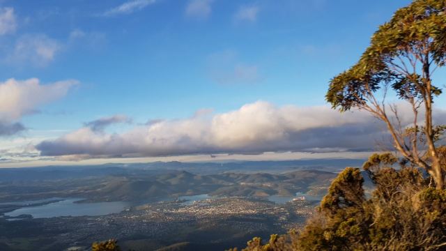 威靈頓山