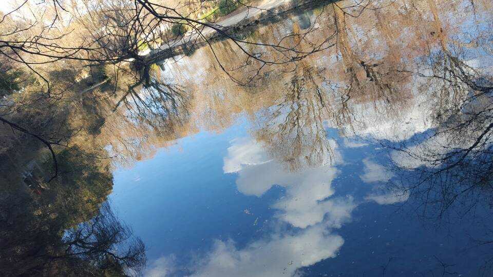 飞花触水