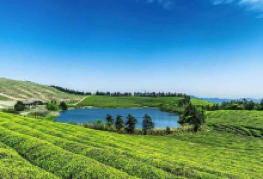 腾越翡翠城购物图片