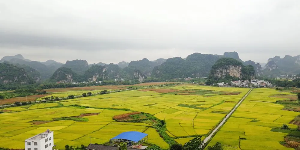 永安旅遊