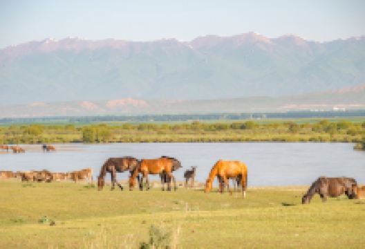 特克斯河景点图片