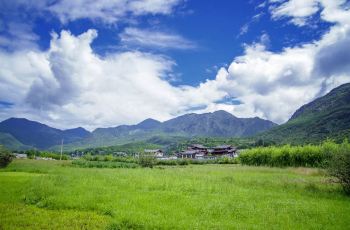 拉市海安中马场