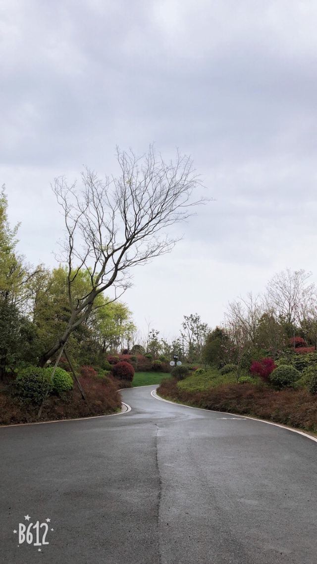 青岚湖森林公园