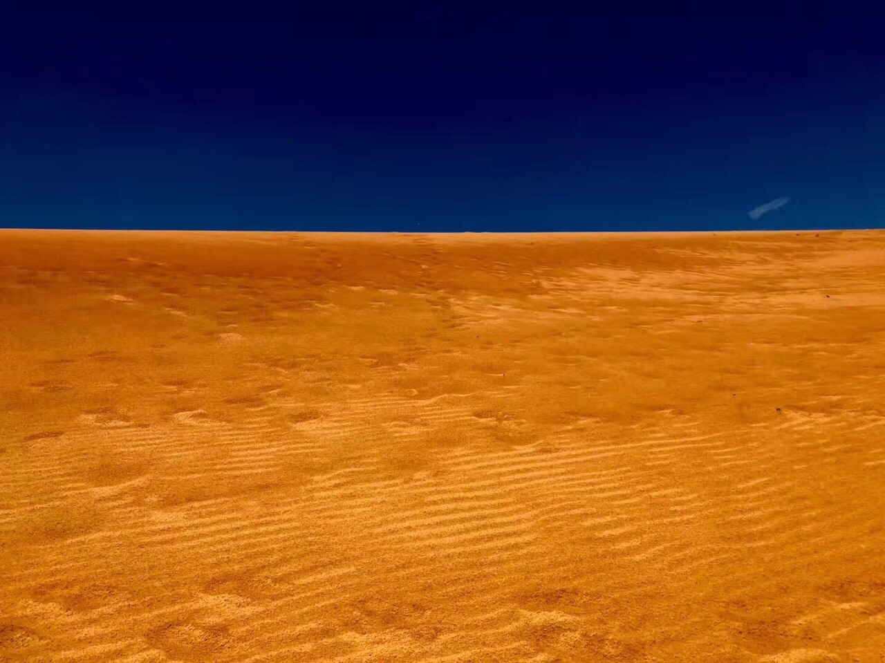 热情·沙漠