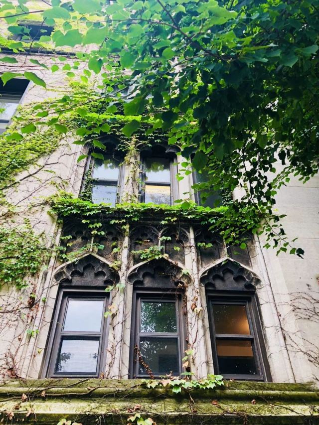 The University of Chicago