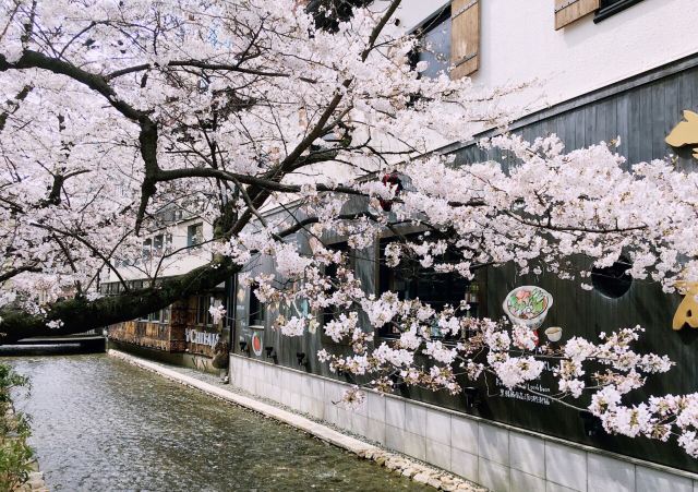 Kiyamachi Street