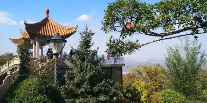 平頂山森林公園