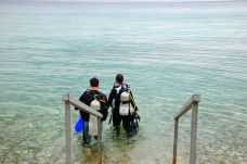 Eilat Coral Beach Nature Reserve-埃拉特-C-IMAGE