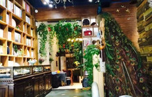 梧桐树咖啡馆(大禹路店)餐厅图片