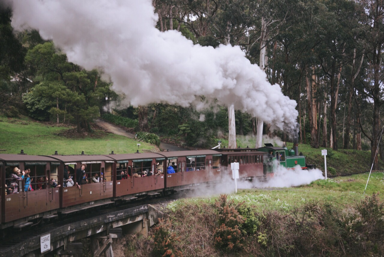 #特色交通#澳洲旅行，不能错过的普芬比利蒸汽小火车