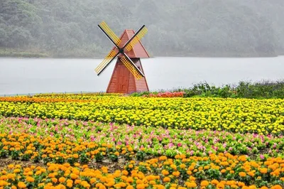 石门国家森林公园