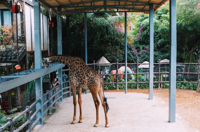 Sanya Romance Park