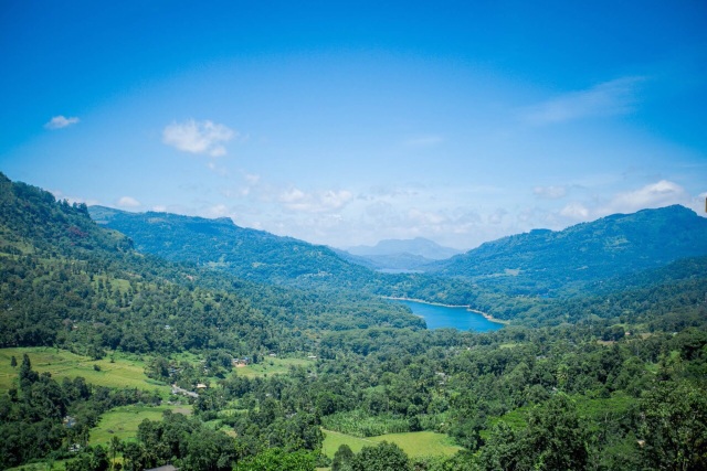 Mackwoods茶厂餐厅图片