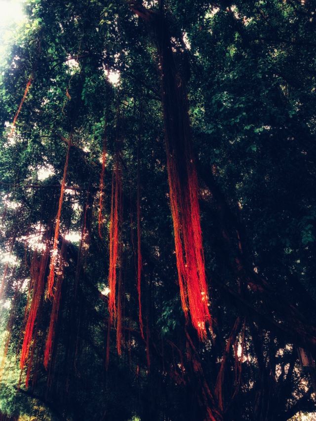 Baiyun Mountain