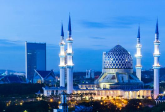 苏丹沙拉胡汀阿都阿兹沙清真寺景点图片