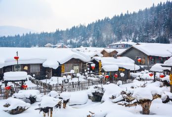 中国雪乡一日游【2-6人纯玩小团/可选冰雪画廊/大秃顶子山】【用车安排：2-6人小团/亚布力西站接送/精选舒适商务车】