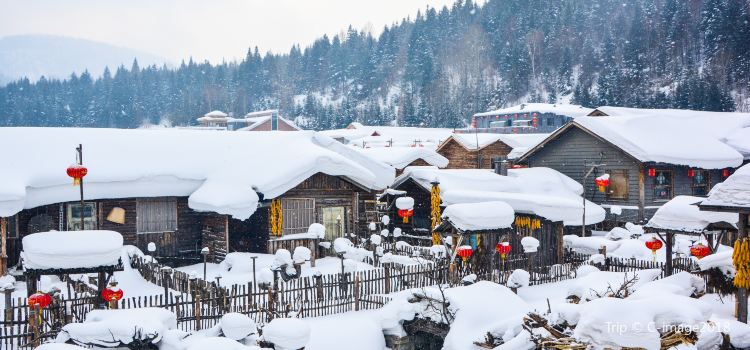Snow Town Xuexiang Travel Guidebook Must Visit Attractions In
