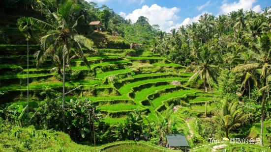 Ubud