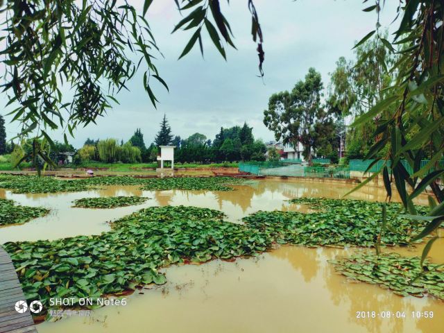 Yueliangwan Wetland Park