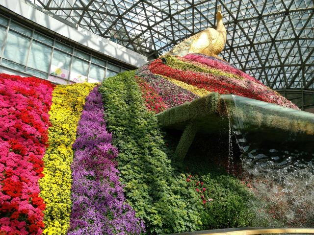 City of Flower