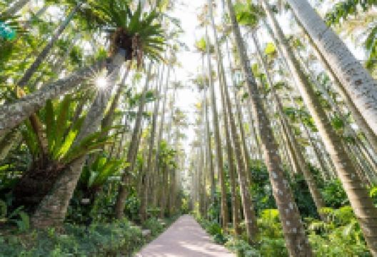东南植物乐园景点图片