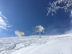 [札幌游记图片] 带娃邂逅雪之秘境-冬の北海道