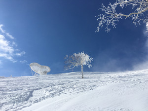 札幌游记图文-带娃邂逅雪之秘境-冬の北海道