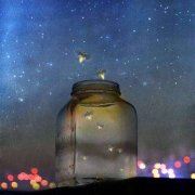 一只奔跑的混糖锅盔