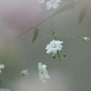 没事闲着别瞎扯