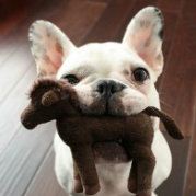 涂小琪琪琪琪琪