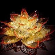 盒子扬之有情有义