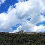 佳佳有本难念的的经