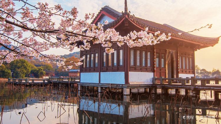 4-Day Hangzhou + Suzhou + Huzhou + Wuzhen + Zhouzhuang + Xitang VIP group of 9 adults with multiple experiences and Hanfu experience