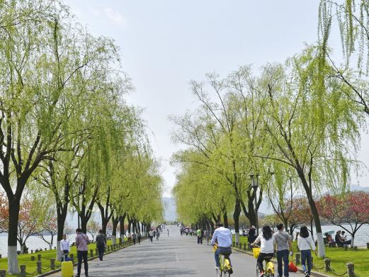 白堤