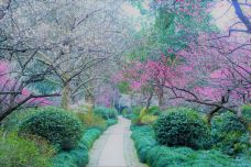 杭州植物园-杭州-在路上的Jorick