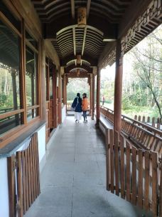 杭州西湖风景名胜区杭州花圃-杭州-琉璃明月心