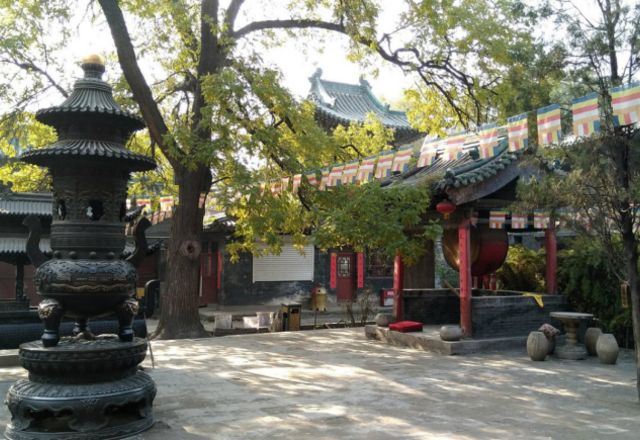崇善寺旅行图片 3