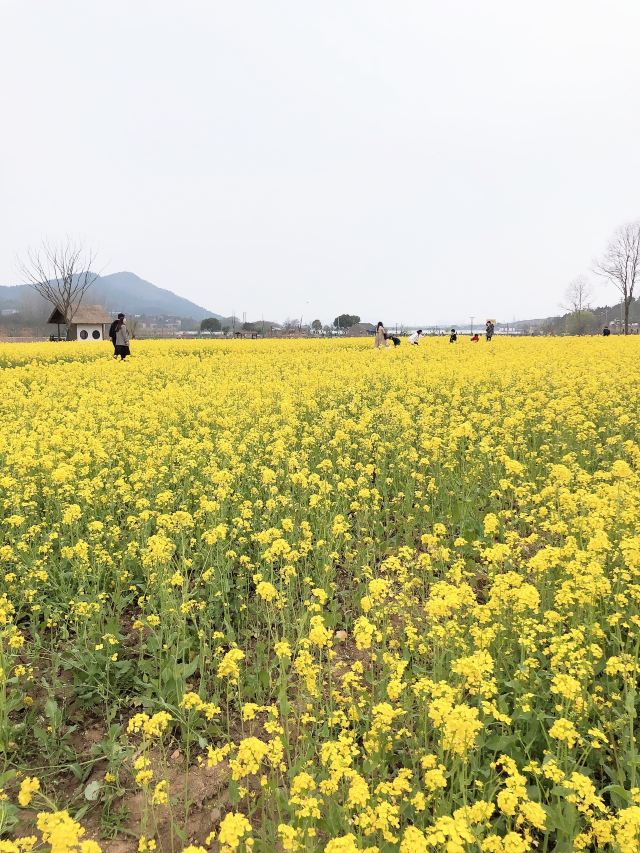 佘村明清代建筑群旅行图片 5