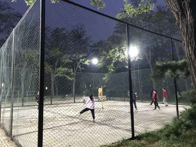 阳光星期八公园旅行图片 10