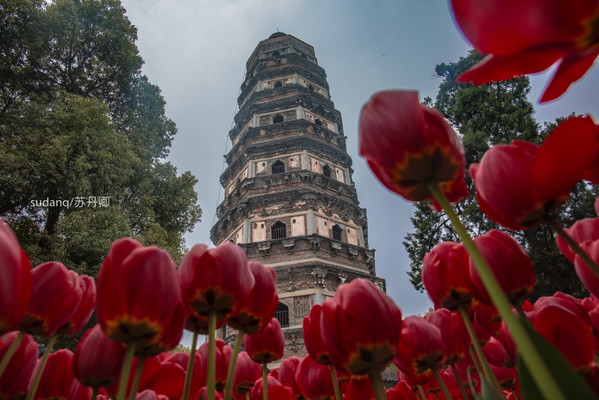 世界上第二座斜塔在中国，被誉为东方比萨斜塔，古人修建60年