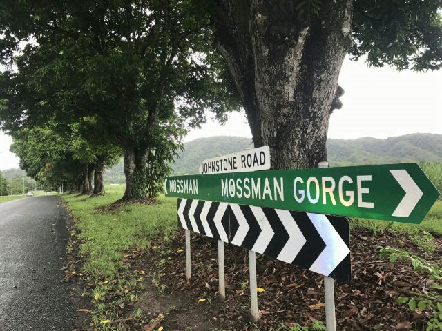 Daintree Rainforest