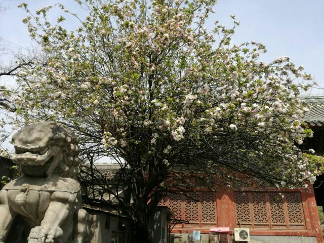 孚王府(不对外开放)旅行图片 3