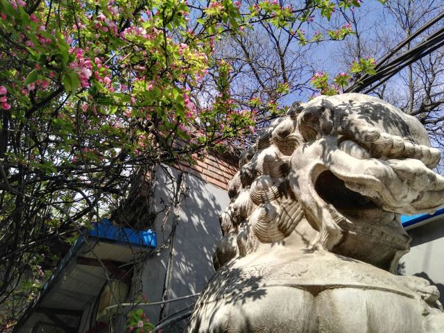 孚王府(不对外开放)旅行图片 4