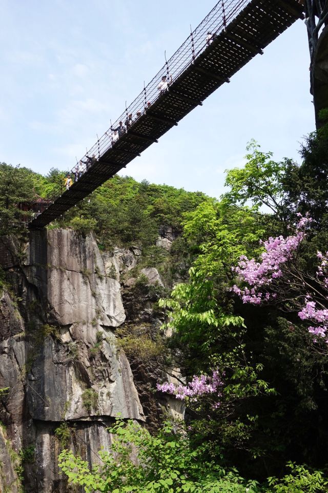 大明山景區