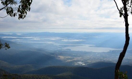 威靈頓山