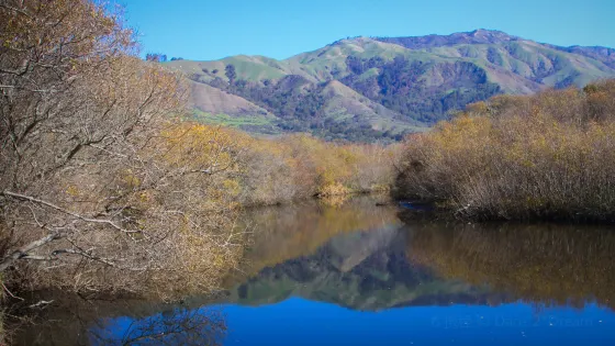 Andrew Molera State Park