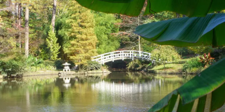莎拉·杜克花園