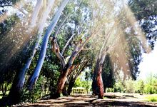 Kit Carson Park景点图片