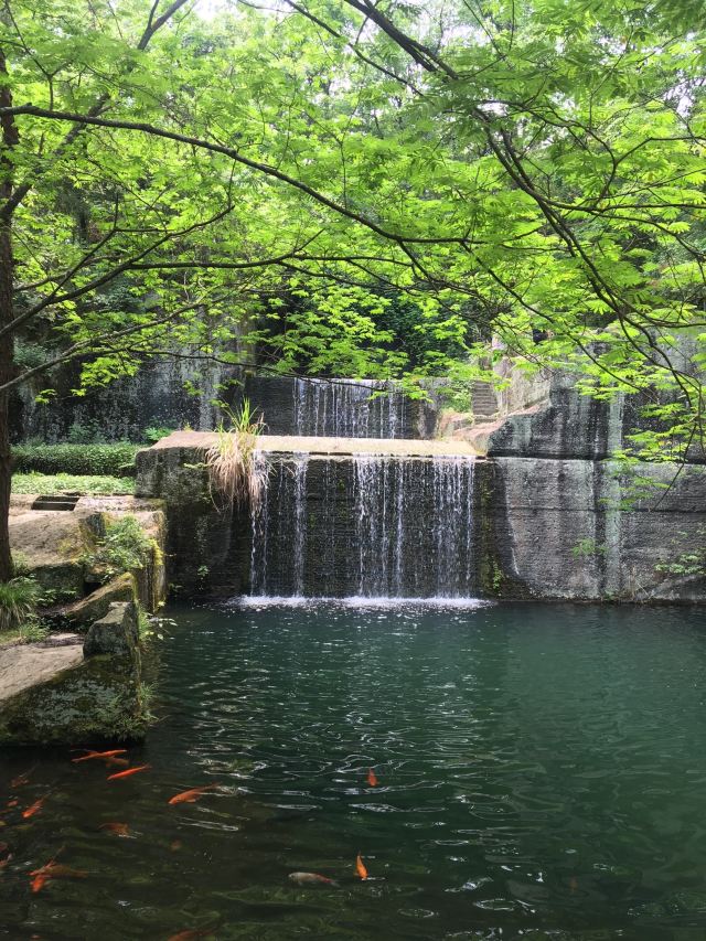 千島湖東南湖區景區